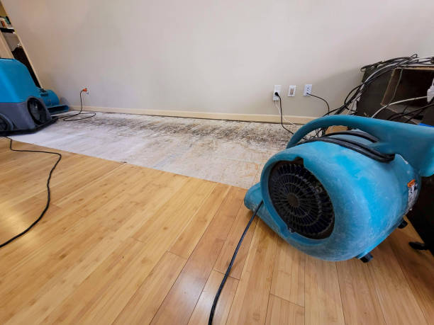 Professional Emergency Water Damage technician working in Plainville, MA